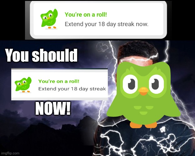 Yes... | NOW! You should | image tagged in you should kill yourself now,memes,duolingo,duolingo day streak,yes honey,funny | made w/ Imgflip meme maker