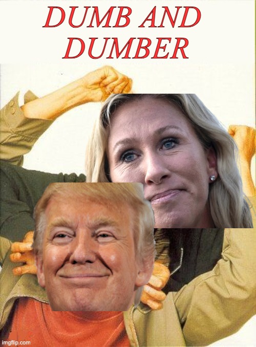 Trump and MTG to run for President and VP respectively, both of them are a joke | DUMB AND 
DUMBER | image tagged in dumb and dumber,trump,donald trump,mtg,majorie taylor greene | made w/ Imgflip meme maker