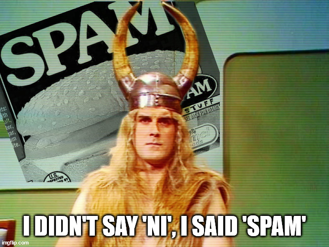 Monty Python Viking | I DIDN'T SAY 'NI', I SAID 'SPAM' | image tagged in monty python viking | made w/ Imgflip meme maker