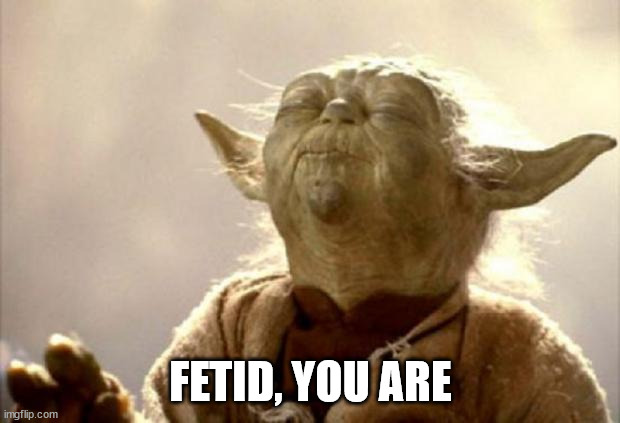 yoda smell | FETID, YOU ARE | image tagged in yoda smell | made w/ Imgflip meme maker