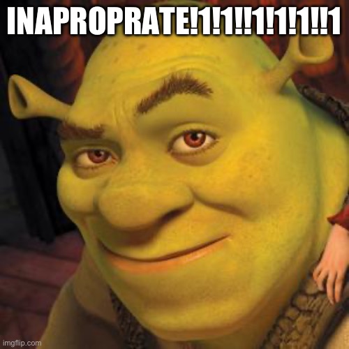 Shrek Sexy Face | INAPROPRATE!1!1!!1!1!1!!1 | image tagged in shrek sexy face | made w/ Imgflip meme maker