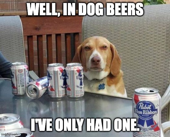 Dog beers | image tagged in bad pun | made w/ Imgflip meme maker
