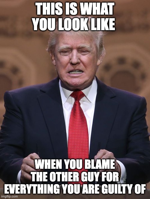 Donald Trump | THIS IS WHAT YOU LOOK LIKE WHEN YOU BLAME THE OTHER GUY FOR EVERYTHING YOU ARE GUILTY OF | image tagged in donald trump | made w/ Imgflip meme maker