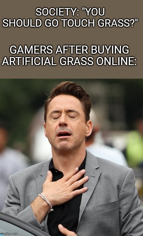 Going outside is for losers. Am I right guys? | SOCIETY: "YOU SHOULD GO TOUCH GRASS?"; GAMERS AFTER BUYING ARTIFICIAL GRASS ONLINE: | image tagged in memes,funny,fun,relatable,grass,touch grass | made w/ Imgflip meme maker