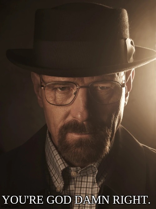 walter white | YOU'RE GOD DAMN RIGHT. | image tagged in walter white | made w/ Imgflip meme maker