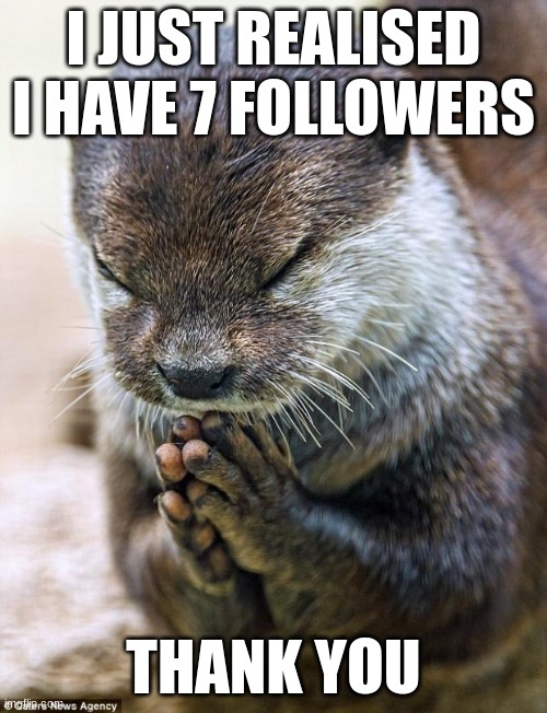 Thank you | I JUST REALISED I HAVE 7 FOLLOWERS; THANK YOU | image tagged in thank you lord otter | made w/ Imgflip meme maker