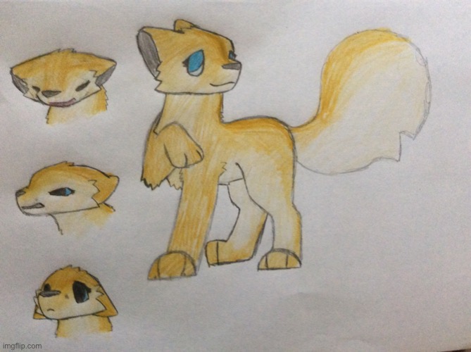 New wc oc again. Names? (She is mates with HalfSpine) | made w/ Imgflip meme maker