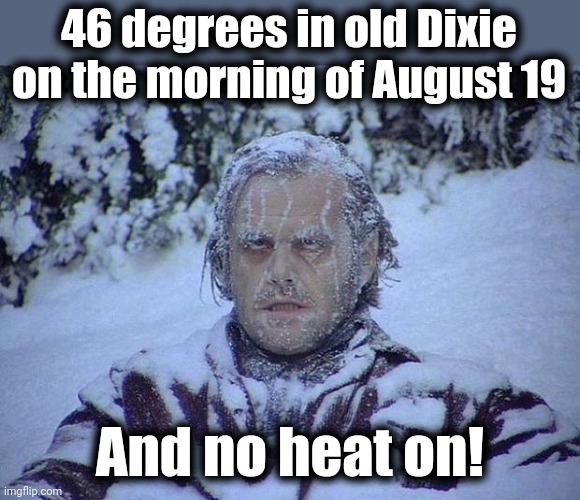 Global warming is freezing my ass off! | 46 degrees in old Dixie on the morning of August 19; And no heat on! | image tagged in memes,jack nicholson the shining snow,global warming,climate change | made w/ Imgflip meme maker