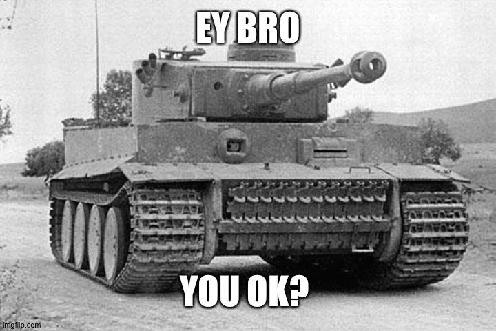 You Ok? | EY BRO; YOU OK? | image tagged in tiger tank | made w/ Imgflip meme maker