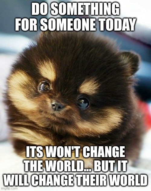 Hello there | DO SOMETHING FOR SOMEONE TODAY; ITS WON'T CHANGE THE WORLD... BUT IT WILL CHANGE THEIR WORLD | image tagged in cute eyes animal | made w/ Imgflip meme maker