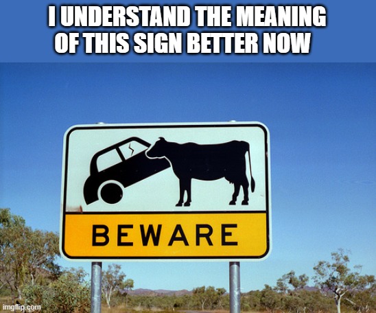 Soviet Russia Cow vs Car | I UNDERSTAND THE MEANING OF THIS SIGN BETTER NOW | image tagged in soviet russia cow vs car | made w/ Imgflip meme maker