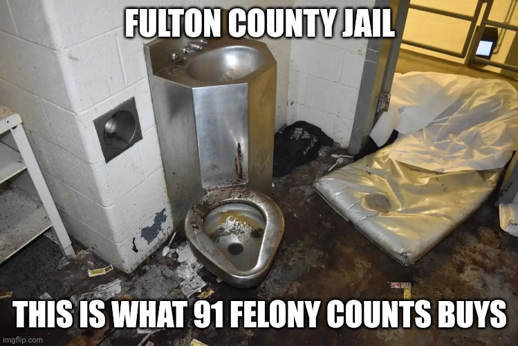 fulton | FULTON COUNTY JAIL; THIS IS WHAT 91 FELONY COUNTS BUYS | image tagged in jail,thug | made w/ Imgflip meme maker
