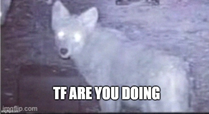 TF ARE YOU DOING | made w/ Imgflip meme maker