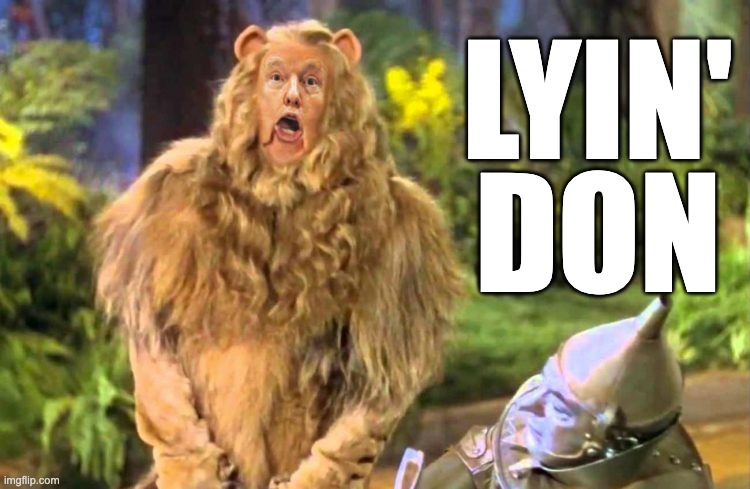 Lyin' Don | LYIN'; DON | image tagged in coward,donald trump,cowardly lion,pab | made w/ Imgflip meme maker
