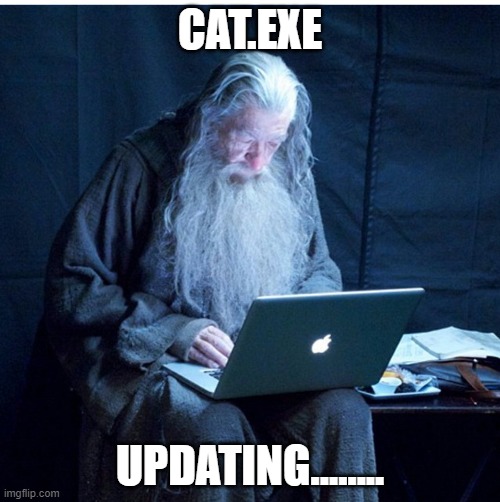 cat.exe | CAT.EXE; UPDATING........ | image tagged in cats | made w/ Imgflip meme maker
