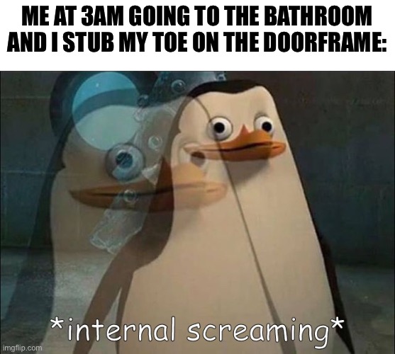 Don’t want to wake anyone up but it hurts | ME AT 3AM GOING TO THE BATHROOM AND I STUB MY TOE ON THE DOORFRAME: | image tagged in private internal screaming | made w/ Imgflip meme maker