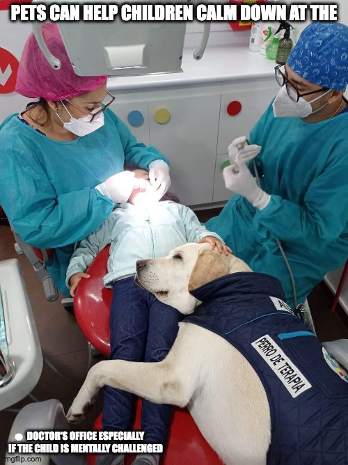 Dog Accompanying Child At the Dentist | PETS CAN HELP CHILDREN CALM DOWN AT THE; DOCTOR'S OFFICE ESPECIALLY IF THE CHILD IS MENTALLY CHALLENGED | image tagged in dogs,memes | made w/ Imgflip meme maker