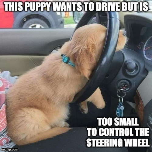 Puppy on the Driver's Seat | THIS PUPPY WANTS TO DRIVE BUT IS; TOO SMALL TO CONTROL THE STEERING WHEEL | image tagged in dogs,memes,cars | made w/ Imgflip meme maker