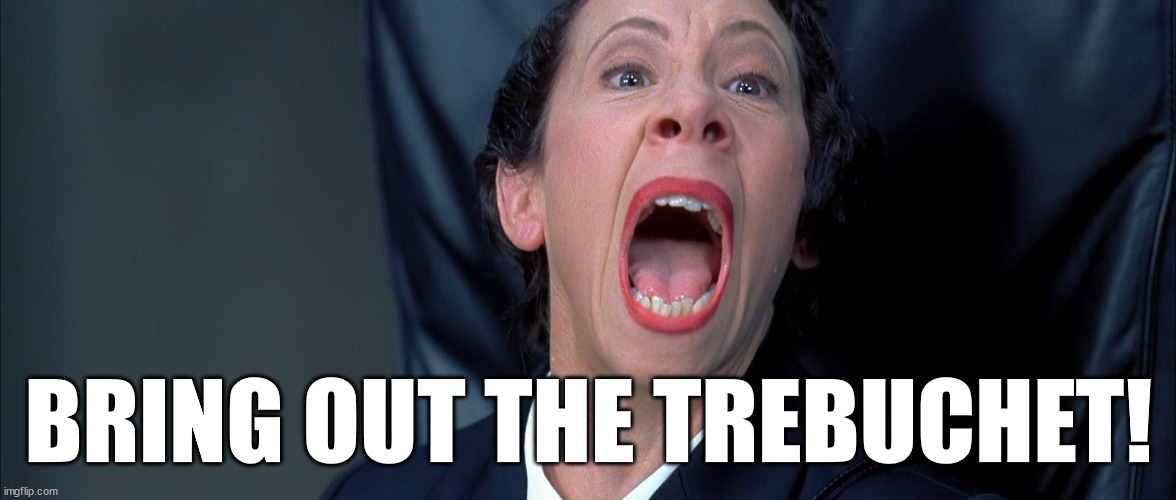 Frau Farbissina | BRING OUT THE TREBUCHET! | image tagged in frau farbissina | made w/ Imgflip meme maker