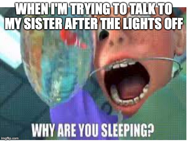 Why are you sleeping? | WHEN I'M TRYING TO TALK TO MY SISTER AFTER THE LIGHTS OFF | image tagged in sleeping | made w/ Imgflip meme maker
