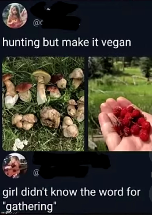 it's called "dying early" | image tagged in vegan,hunting,gathering,funny,women,mushrooms | made w/ Imgflip meme maker