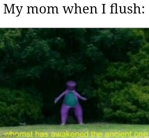 Whomst has awakened the ancient one | My mom when I flush: | image tagged in whomst has awakened the ancient one | made w/ Imgflip meme maker