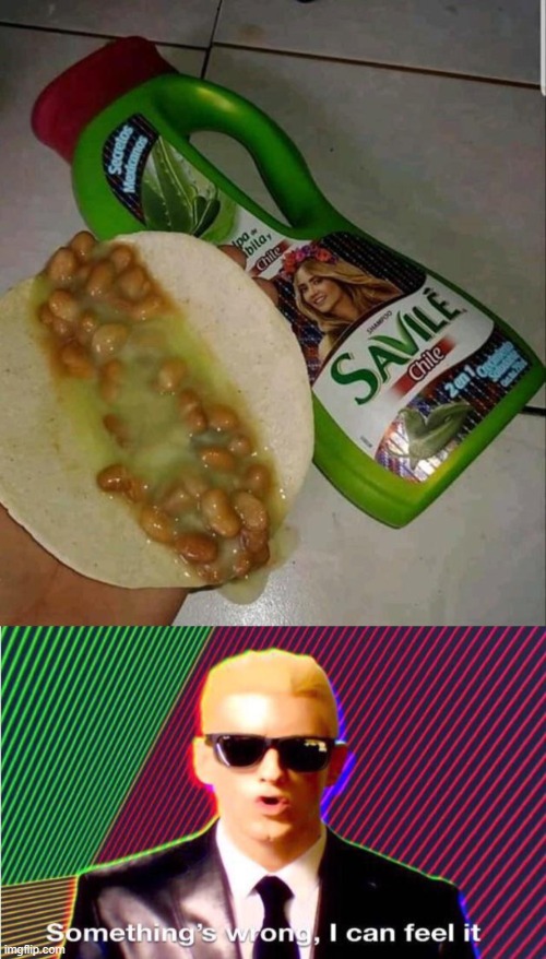 Shampoo goes in your HAIR, not your tacos DX | image tagged in something s wrong | made w/ Imgflip meme maker