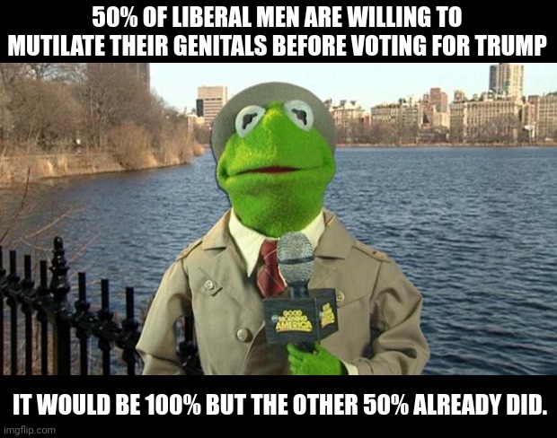 Liberal men are also known as women. | 50% OF LIBERAL MEN ARE WILLING TO MUTILATE THEIR GENITALS BEFORE VOTING FOR TRUMP; IT WOULD BE 100% BUT THE OTHER 50% ALREADY DID. | image tagged in kermit news report | made w/ Imgflip meme maker