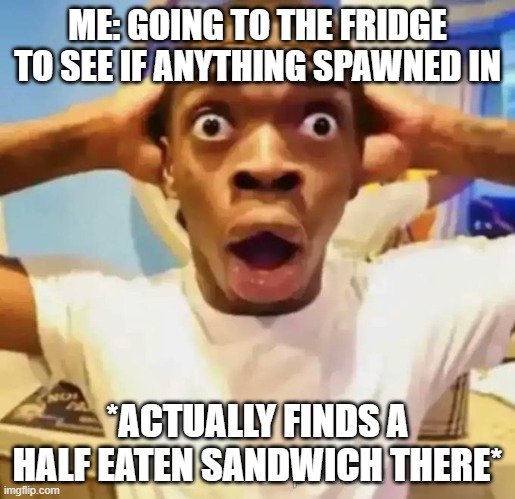 the frigde | ME: GOING TO THE FRIDGE TO SEE IF ANYTHING SPAWNED IN; *ACTUALLY FINDS A HALF EATEN SANDWICH THERE* | image tagged in shocked black guy | made w/ Imgflip meme maker