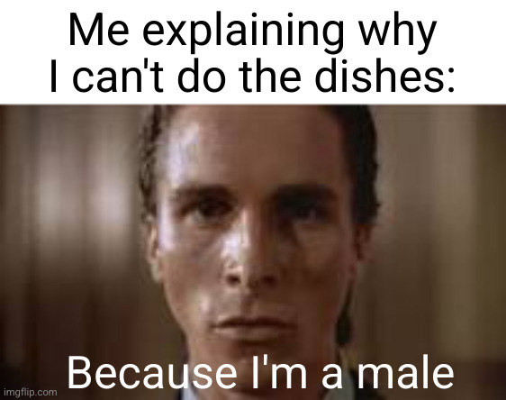 it's dishwasher, not dishwashim | Me explaining why I can't do the dishes:; Because I'm a male | image tagged in patrick bateman staring,women,men,dishes,duhhh dumbass,funny | made w/ Imgflip meme maker