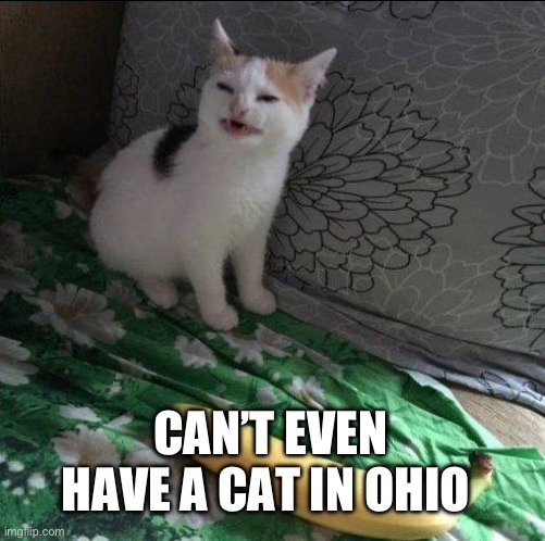 Cat doesn't like banana | CAN’T EVEN HAVE A CAT IN OHIO | image tagged in cat doesn't like banana | made w/ Imgflip meme maker