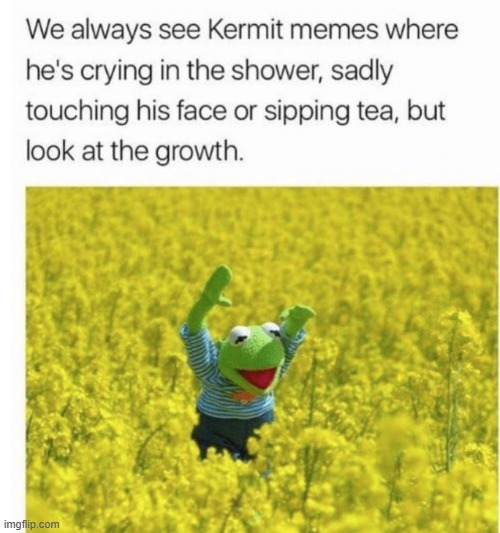 Kermit doesn't always have to be depressing :) | image tagged in confused lebowski | made w/ Imgflip meme maker