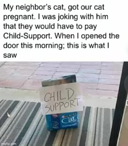 wholesome | image tagged in cats,child support,funny,pregnant,food,wholesome | made w/ Imgflip meme maker