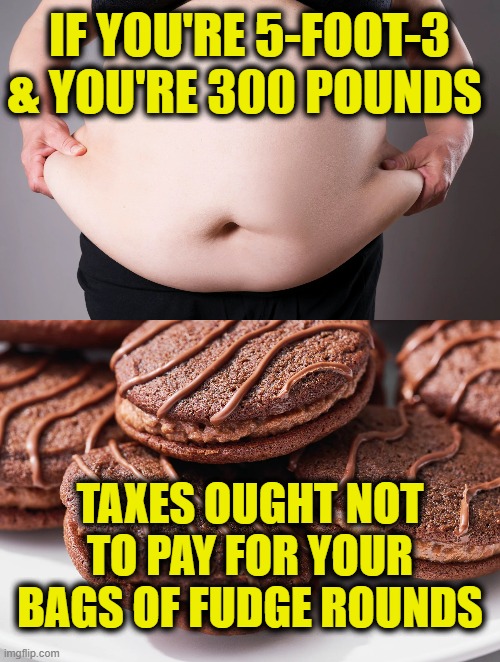 milkin' welfare | IF YOU'RE 5-FOOT-3
& YOU'RE 300 POUNDS; TAXES OUGHT NOT
TO PAY FOR YOUR
BAGS OF FUDGE ROUNDS | made w/ Imgflip meme maker