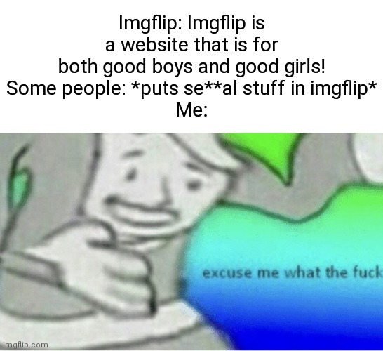 For real, though. | Imgflip: Imgflip is a website that is for both good boys and good girls!
Some people: *puts se**al stuff in imgflip*
Me: | image tagged in excuse me wtf blank template,memes,fallout hold up,but why why would you do that | made w/ Imgflip meme maker