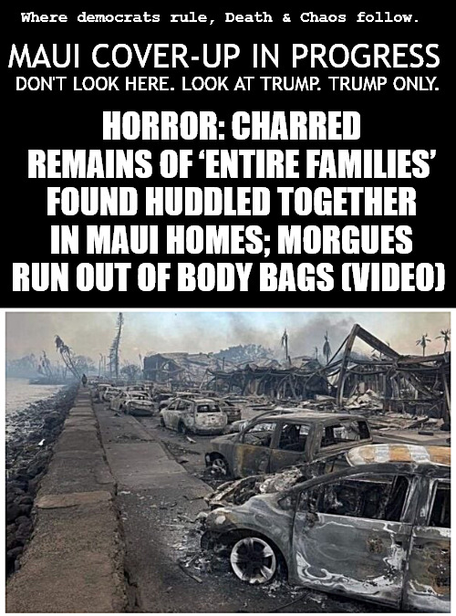 Where Democrats rule, Death & Chaos follow. | Where democrats rule, Death & Chaos follow. MAUI COVER-UP IN PROGRESS; DON'T LOOK HERE. LOOK AT TRUMP. TRUMP ONLY. HORROR: CHARRED REMAINS OF ‘ENTIRE FAMILIES’ FOUND HUDDLED TOGETHER IN MAUI HOMES; MORGUES RUN OUT OF BODY BAGS (VIDEO) | image tagged in memes,politics,maui,democrats | made w/ Imgflip meme maker