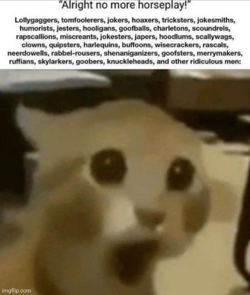 NOOOOO | image tagged in silly | made w/ Imgflip meme maker