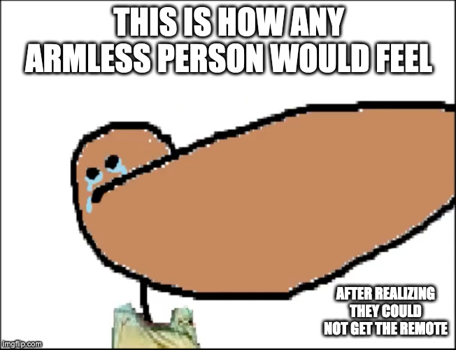 Crying Armless Person | THIS IS HOW ANY ARMLESS PERSON WOULD FEEL; AFTER REALIZING THEY COULD NOT GET THE REMOTE | image tagged in gradeaundera,memes | made w/ Imgflip meme maker