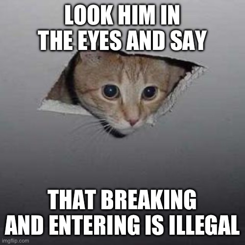 Ceiling Cat | LOOK HIM IN THE EYES AND SAY; THAT BREAKING AND ENTERING IS ILLEGAL | image tagged in memes,ceiling cat | made w/ Imgflip meme maker