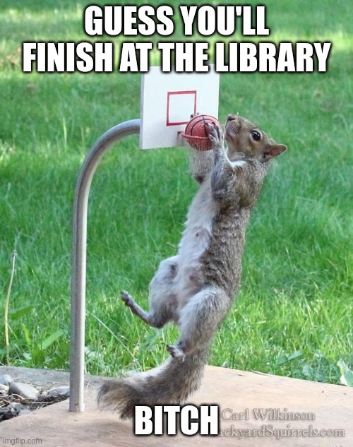 urban squirrel chews the coax | GUESS YOU'LL FINISH AT THE LIBRARY; BITCH | image tagged in squirrel,urban,basketball,coax,cable | made w/ Imgflip meme maker