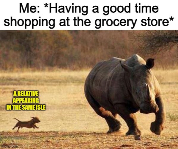 True story... I was SCARED XD | Me: *Having a good time shopping at the grocery store*; A RELATIVE APPEARING IN THE SAME ISLE | image tagged in rhino running from small dog | made w/ Imgflip meme maker