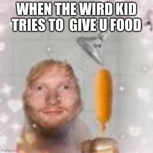 ed sheeran holding a corn dog in the shower | WHEN THE WIRD KID TRIES TO  GIVE U FOOD | image tagged in ed sheeran holding a corn dog in the shower | made w/ Imgflip meme maker