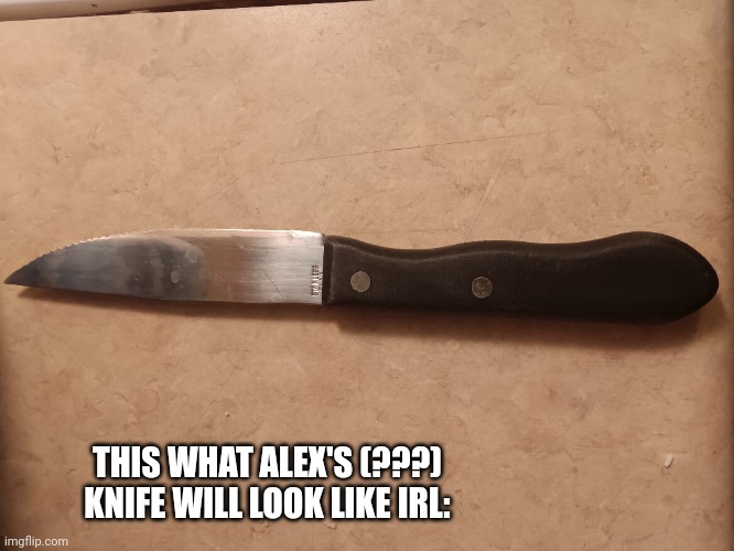 THIS WHAT ALEX'S (???) KNIFE WILL LOOK LIKE IRL: | made w/ Imgflip meme maker