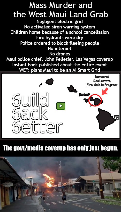 Maui Land Grab & Coverup in Progress | Mass Murder and the West Maui Land Grab; Negligent electric grid
No activated siren warning system
Children home because of a school cancellation
Fire hydrants were dry
Police ordered to block fleeing people
No internet
No drones
Maui police chief, John Pelletier, Las Vegas coverup
Instant book published about the entire event
WEF: plans Maui to be an AI Smart Grid; Democrat Real-estate Fire-Sale in Progress; The govt/media coverup has only just begun. | image tagged in memes,politics,maui,democrat | made w/ Imgflip meme maker
