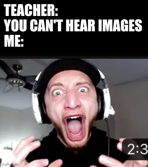If you watch one of wubzzy's videos you'll get the joke | TEACHER: YOU CAN'T HEAR IMAGES
ME: | image tagged in the hell | made w/ Imgflip meme maker