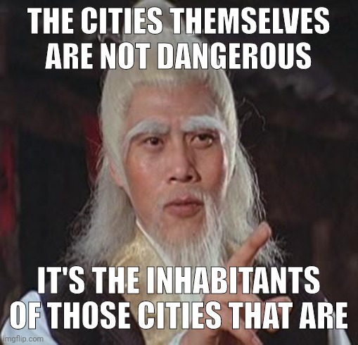 You're not allowed to point that out. | THE CITIES THEMSELVES ARE NOT DANGEROUS; IT'S THE INHABITANTS OF THOSE CITIES THAT ARE | image tagged in wise kung fu master | made w/ Imgflip meme maker