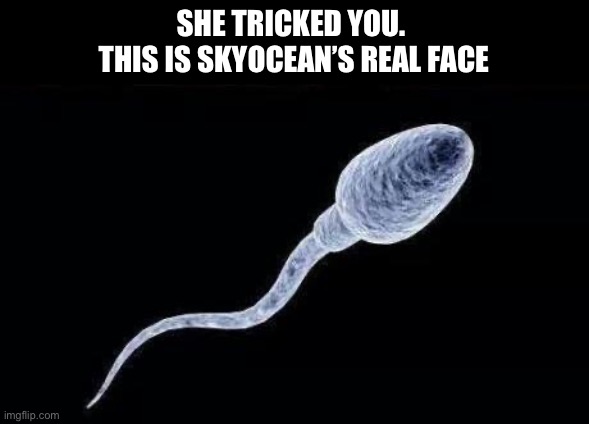 da sperm | SHE TRICKED YOU. 
THIS IS SKYOCEAN’S REAL FACE | image tagged in da sperm | made w/ Imgflip meme maker