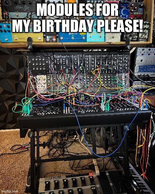 MODULES FOR BIRTHDAY | MODULES FOR MY BIRTHDAY PLEASE! | image tagged in synthesizer,modules,synth | made w/ Imgflip meme maker