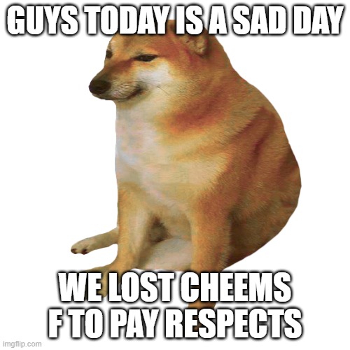 Rest In Peace, Cheems | GUYS TODAY IS A SAD DAY; WE LOST CHEEMS
F TO PAY RESPECTS | image tagged in cheems | made w/ Imgflip meme maker