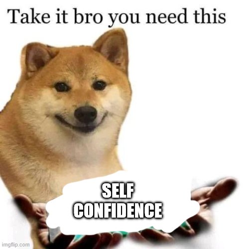 Take it bro you need this | SELF CONFIDENCE | image tagged in take it bro you need this | made w/ Imgflip meme maker